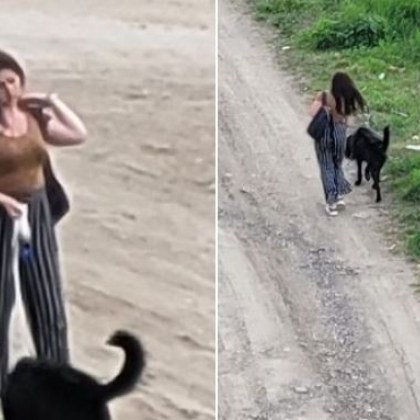 Очевидец за стопанка на куче: Станах свидетел на нещо необичайно