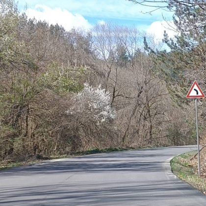 Пътен знак поставен на пътя между Искрец и Бучин проход предизвика