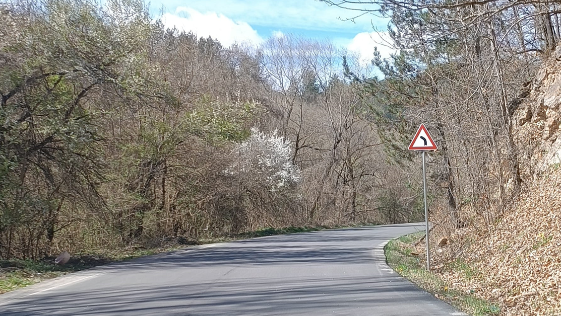 Пътен знак, поставен на пътя между Искрец и Бучин проход, предизвика