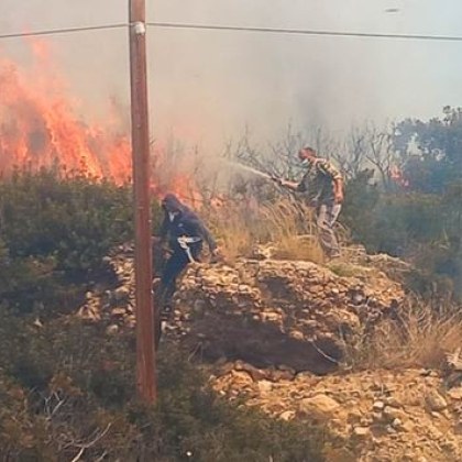 На гръцкия остров Крит бушува горски пожар и властите наредиха