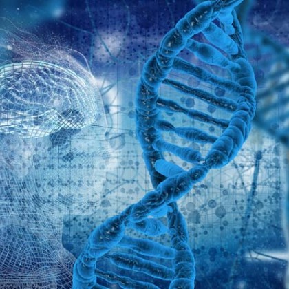 Изследователите са открили шест гена които играят критична роля при