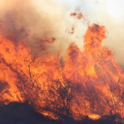 Гърция в неделя повиши нивото на предупреждение за горски пожар
