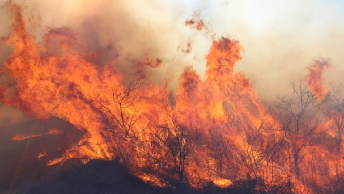 Пожари избухнаха в Гърция, страната се готви за огнено бедствие