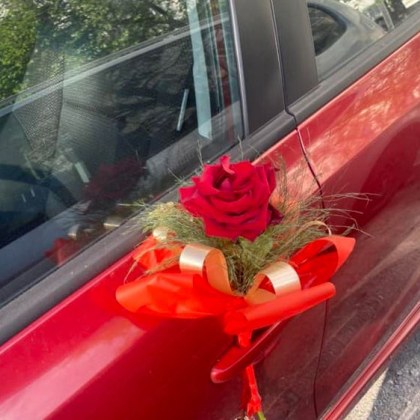 Красив жест изненада в София Прекрасна червена роза била поставена на