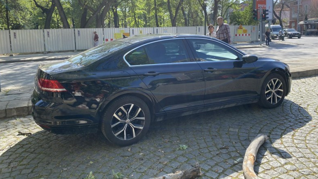 Голям клон падна върху автомобил в Пловдив СНИМКИ