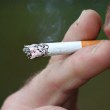 Забраниха на пушачите да пушат на 5 метра от околните
