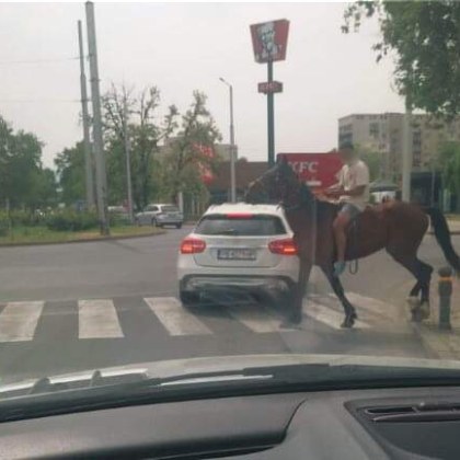 Каубой на кон в Пловдив направи впечатление на кръстовище в