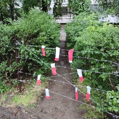 Бодлива тел се появи до градинка в София Своеобразният електропастир