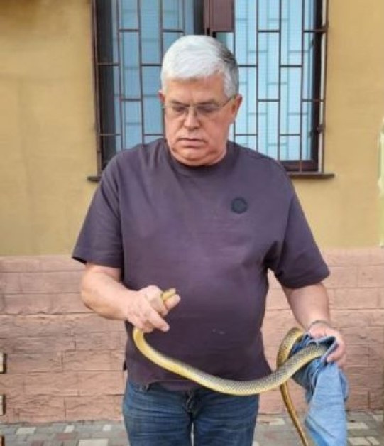 Снимка: Застрашена змия пропълзя до блок, ухаха директора на зоопарк СНИМКИ