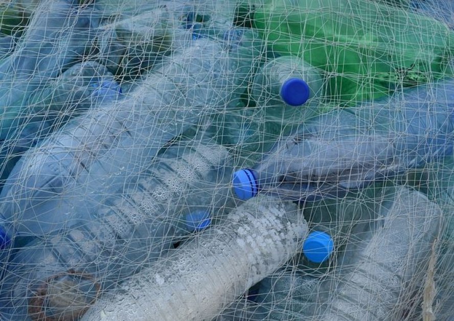 Снимка: Пластмасата в океана влияе пагубно на ембрионите
