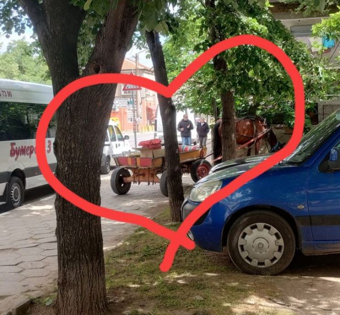 Не само коли: Вече и каруци паркират по тротоарите СНИМКА