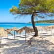 Гърция забрани със закон чадърите и отварянето на заведения на 198 плажа