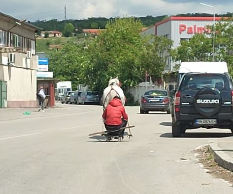 Кон тегли мъж на шейна по улицата ВИДЕО
