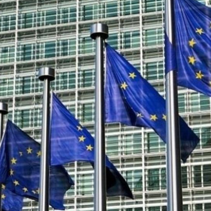 Европейският парламент одобри днес правила забраняващи в ЕС да се