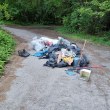 По средата: Изсипаха куп боклук на улица до парк  СНИМКИ