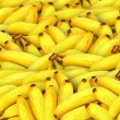 Сред бананите: Откриха кокаин в 7 супермаркета