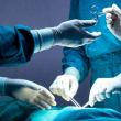 За втори път: Американски хирурзи трансплантираха свински бъбрек на пациент