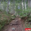 Приказна разходка край Пловдив: Родопска пътека показва красотата на гората СНИМКИ
