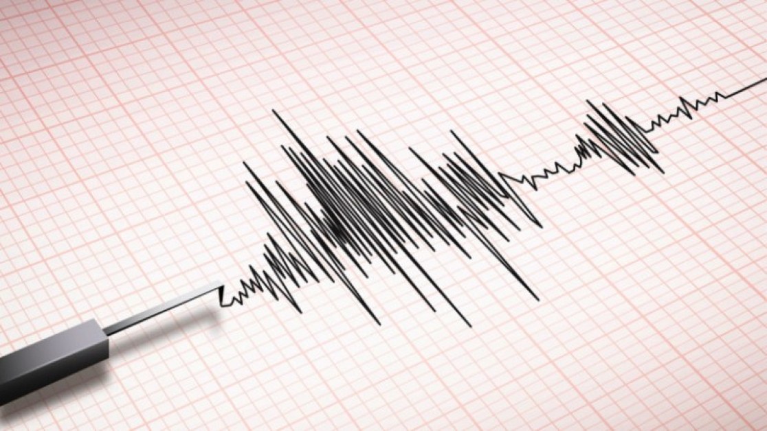 Земетресение е усетено в района на Благоевград. Това съобщава Националният институт