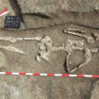 Откриха скелет на гигант край Дебелт СНИМКИ