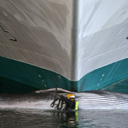 Круизен кораб навлезе в пристанището на Ню Йорк с 13 метров