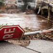 136 станаха жертвите на наводненията в Бразилия