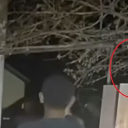 Британският експерт криминолог Скот Родър оцени автентичността на видео заснето