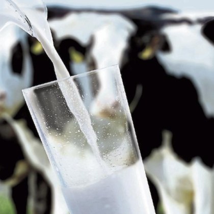 В САЩ наскоро продажбите на сурово краве мляко са се
