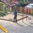 Мъж разхожда котката си на детска площадка, пуска я в пясъчника СНИМКИ