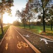 Велосипедист в Пловдив: Нарочно ли ходите по велоалеите или е заради манталитета ви?