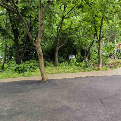 Жители на столичния квартал Мусагеница сигнализират за върховна глупост асфалтирани