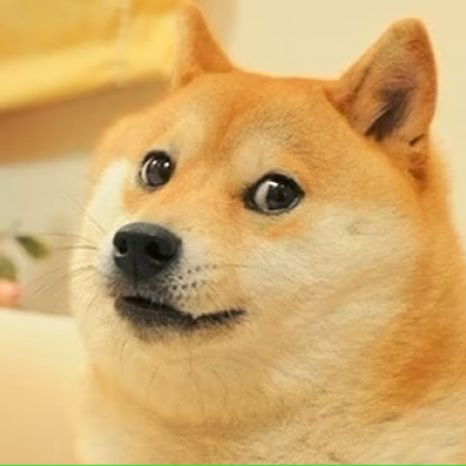 Японското куче шиба ину чиято снимка вдъхнови цяло поколение онлайн