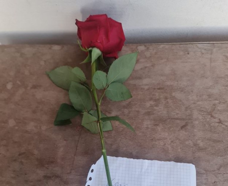 Червена роза с послание се появи във вход. Ергенът ли я остави? СНИМКА