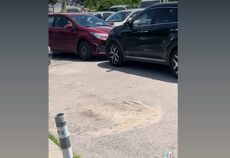 Защо се стигна до грозните сцени между шофьорки на паркинг?