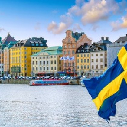 Шведското правителство днес съобщи че ще изпрати военна помощ за