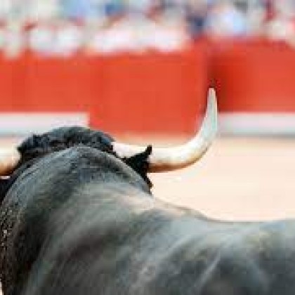 След седемгодишни неуспешни опити Конгресът на Колумбия забрани борбите с бикове