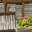 Заловиха кокаин за 2 млн. евро на пристанище в Гърция