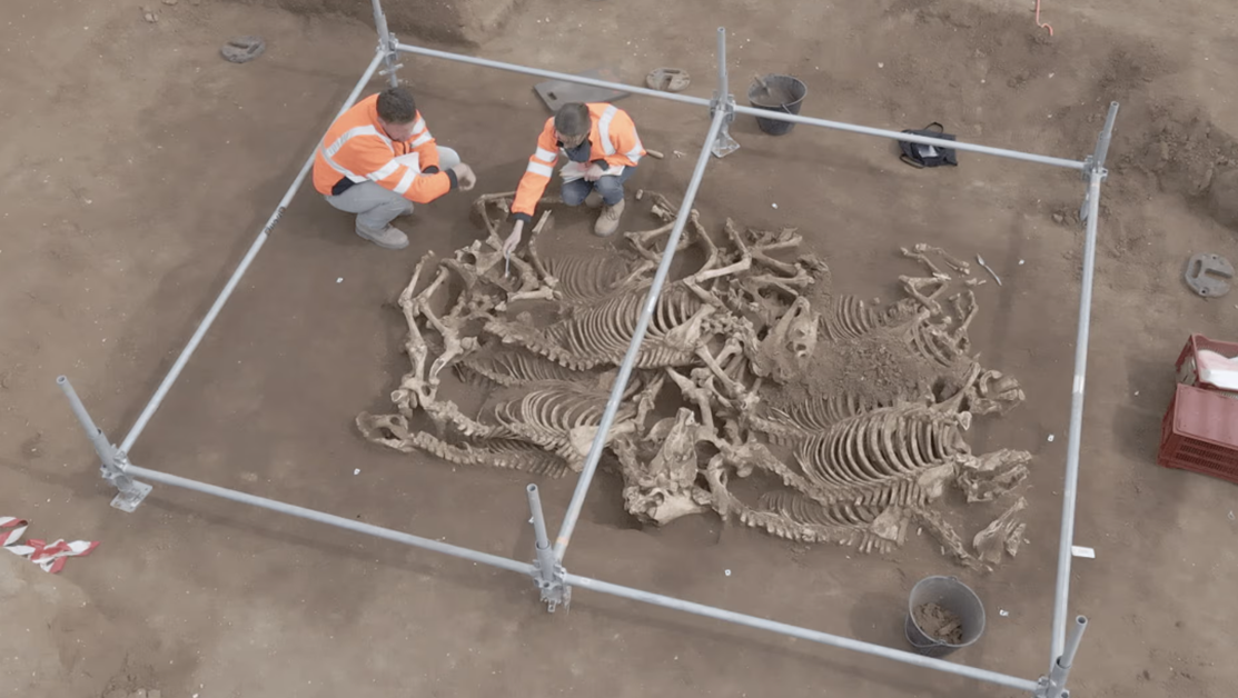 Откриха удивителни останки от коне, погребани преди 2000 години