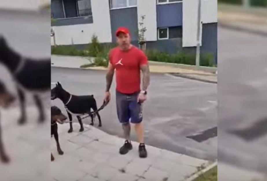 Разходка на кучета прерасна в юмручна схватка ВИДЕО