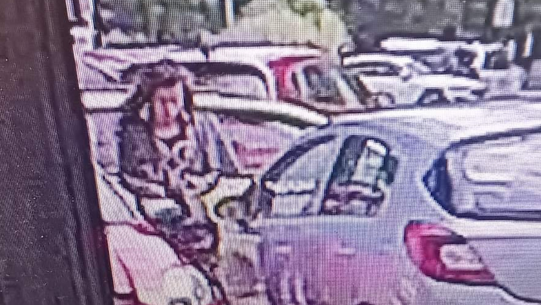 Жена открадна чанта от автомобил в София, в нея имало животоспасяващи лекарства СНИМКИ