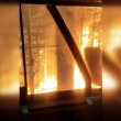 ВИДЕО на влак, пробиващ горски пожар, шокира мрежата