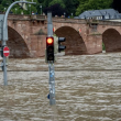 Жена прекара почти 3 дни на дърво, спасявайки се от наводненията в Германия