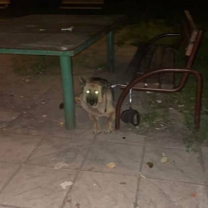 Мъж попадна на притеснителна гледка посред нощ в София Женска