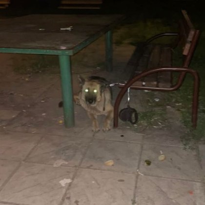 Мъж попадна на притеснителна гледка посред нощ в София Женска немска