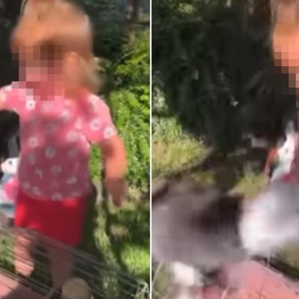 Кадри които показват как малко дете подхвърля зайци възмутиха потребители