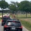 Жираф грабна малко дете от камион по време на обиколка из дивата природа