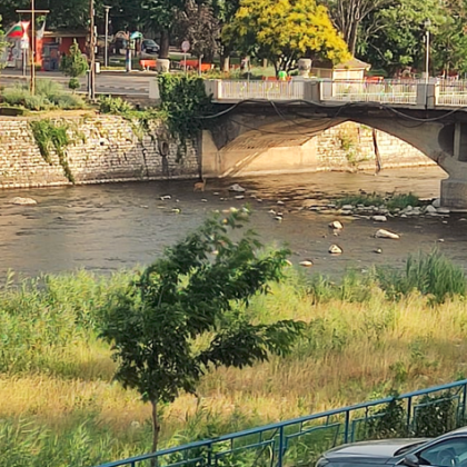 Малка сърничка притесни жителите на Асеновград Животното бяга из централната