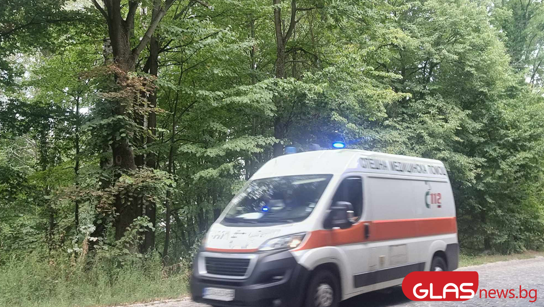 Автобус с деца катастрофира в Търговищко