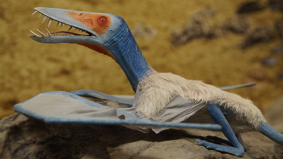 Палеонтолог любител е открил нов вид птерозавър - летящо влечуго,