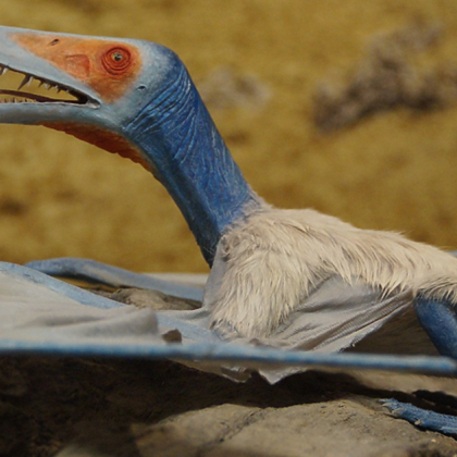 Палеонтолог любител е открил нов вид птерозавър летящо влечуго живяло